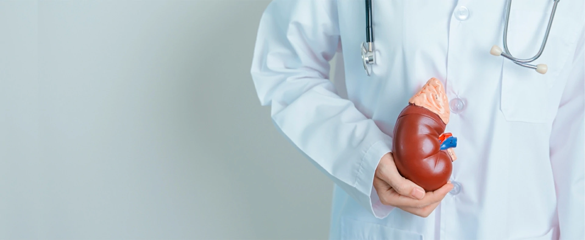 cirugia litiasis renal